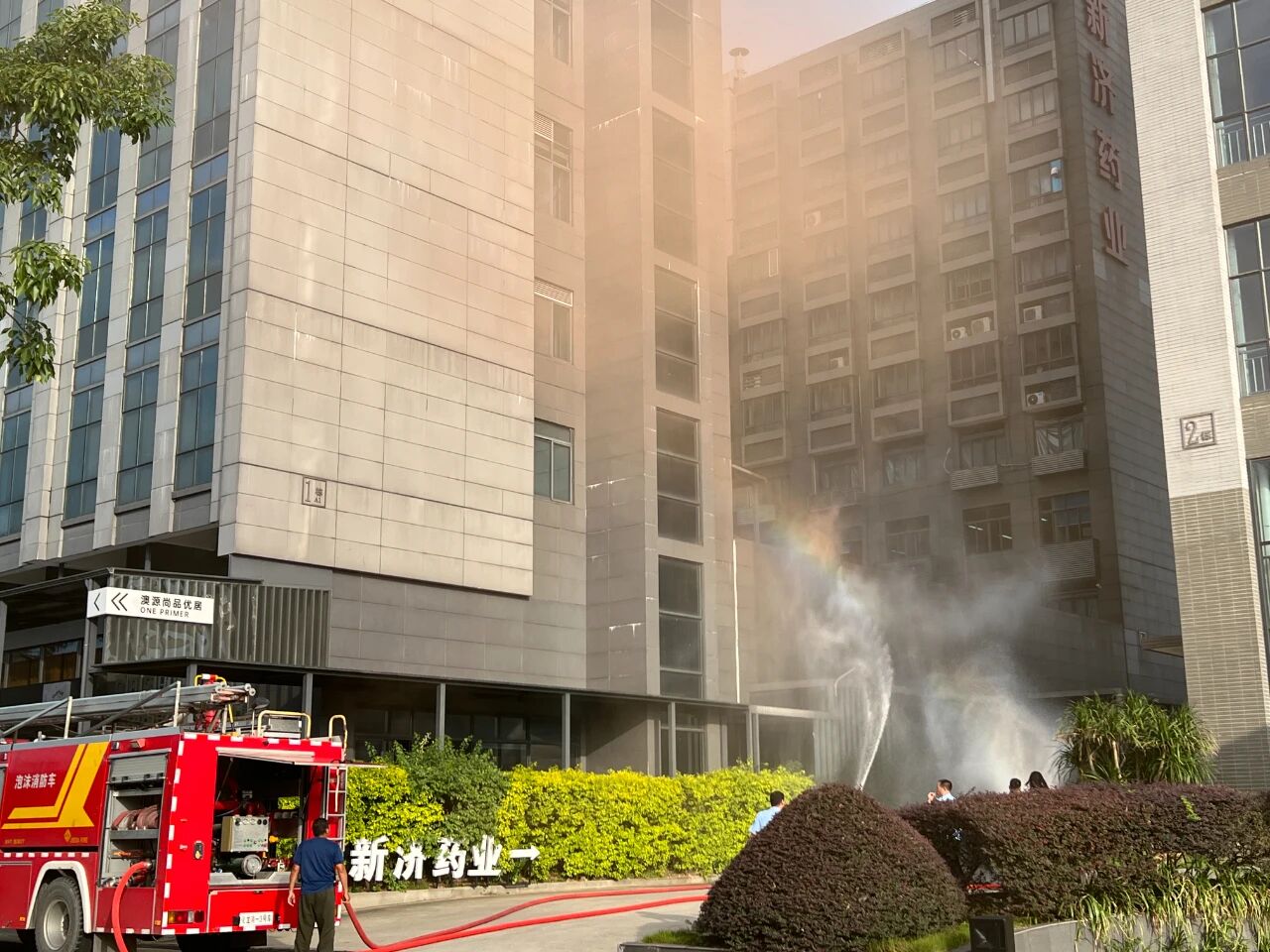 1762422266848620.jpg 9.jpg