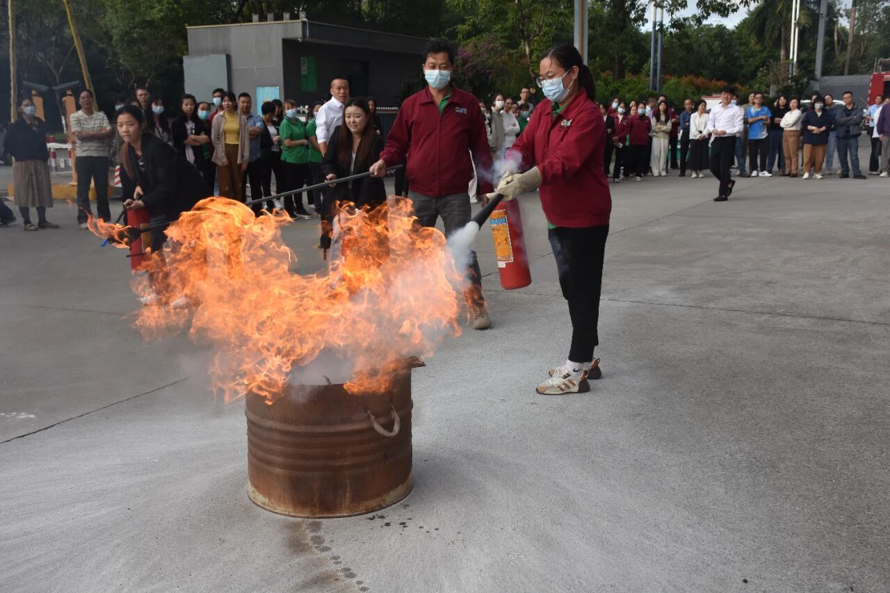 1762422372480196.jpg 13.jpg